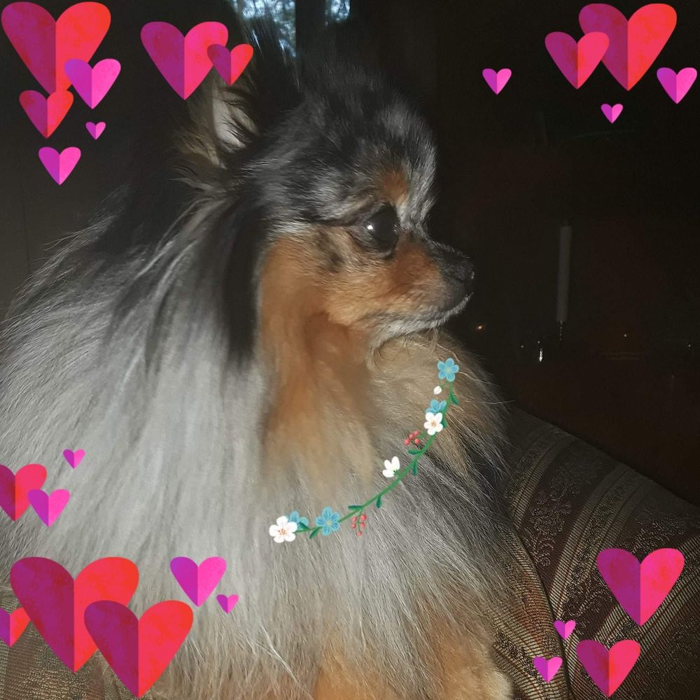 Meet your Posher, Cecile